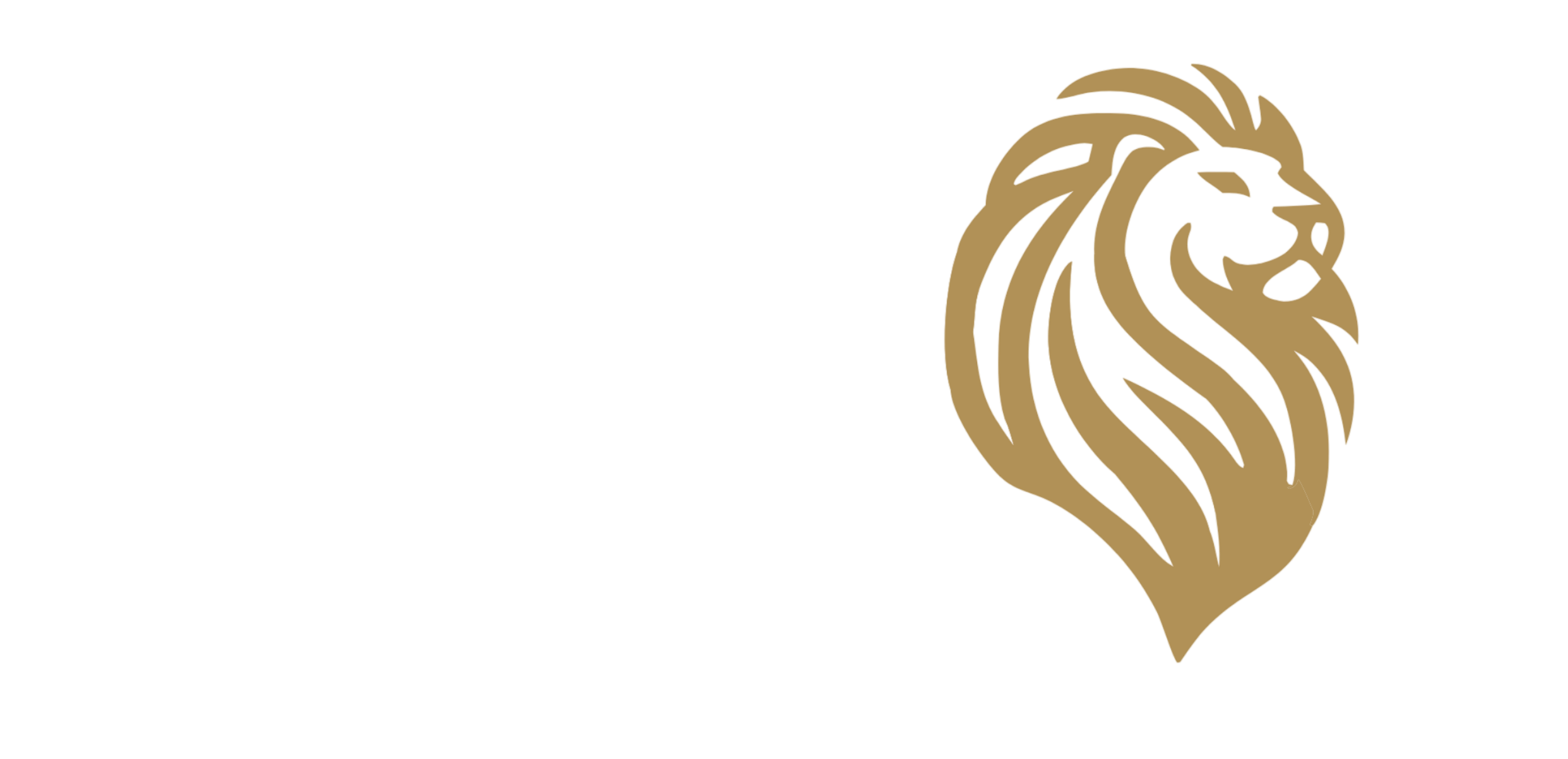 Design sem nome - 2025-06-03T165511.153 (1)